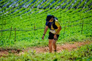 BIB: 
                            <button type="button" onclick="openModal(19164069)" class="btn btn-primary btn-sm float-right btn-popup" data-toggle="modal" data-target=".modal-high-quality">
                        <i class="fas fa-shopping-cart"></i> Add to Cart
                    </button>
                                            <button type="button" onclick="isThisMe(19164069, true)" class="btn btn-success btn-sm float-right btn-popup btn-isme hidden" data-toggle="tooltip" data-placement="bottom" title="นี่คือรูปของคุณใช่ไหม คลิกที่นี่เพื่อเอาเข้าอัลบั้ม">
                        <i class="fas fa-plus"></i> Add to album
                    </button>
                    <button type="button" onclick="isThisMe(19164069, false)" class="btn btn-warning btn-sm float-right btn-popup btn-isnotme hidden">
                        <i class="fas fa-ban"></i> Remove from album
                    </button>